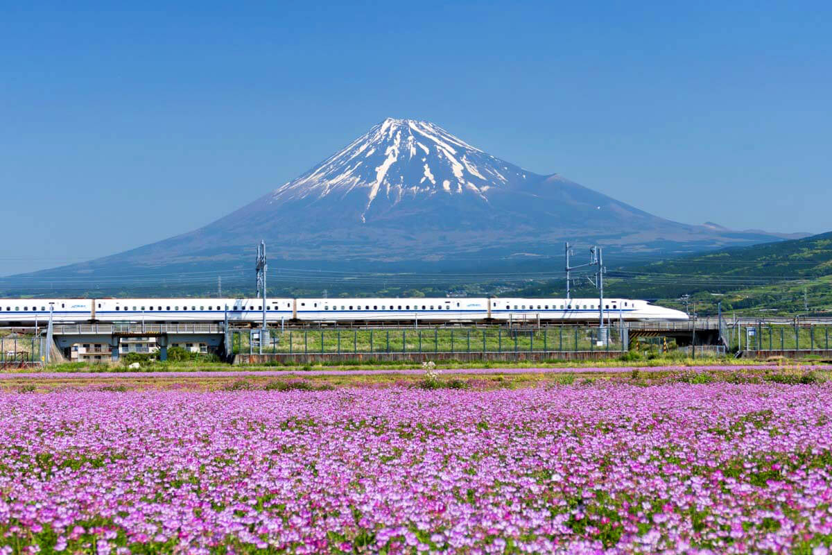 Trải nghiệm tàu Shinkansen